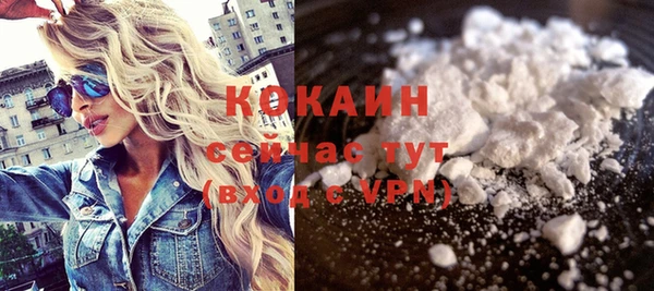 стафф Арсеньев