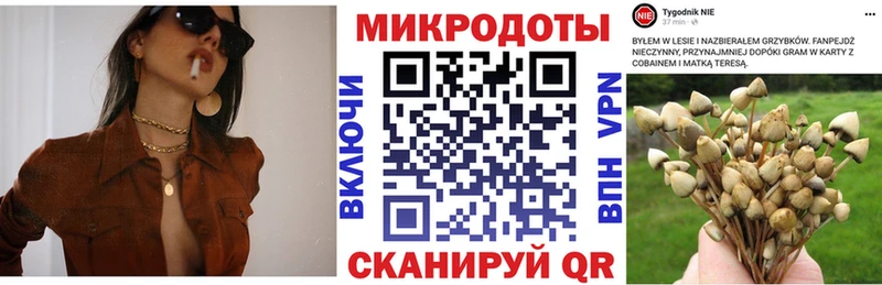 Купить  Уржум  Псилоцибиновые грибы Cubensis 